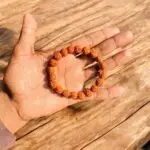 Original 5 Mukhi Rudraksh Bracelet