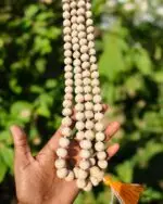 108+1 Beads Pure Tulsi Jap Mala (14 mm)
