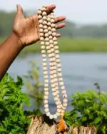 108+1 Beads Pure Tulsi Jap Mala (14 mm) - Image 2