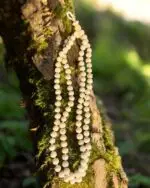 108+1 Beads Original Tulsi Jap Mala - Image 2