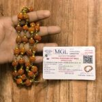 Certified Rudraksha Necklace Mala (8 mm)